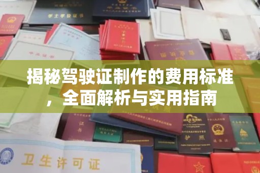 隆阳揭秘驾驶证制作的费用标准，全面解析与实用指南